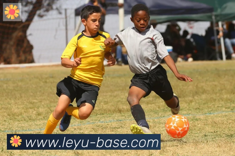 乐鱼leyu平台生态图